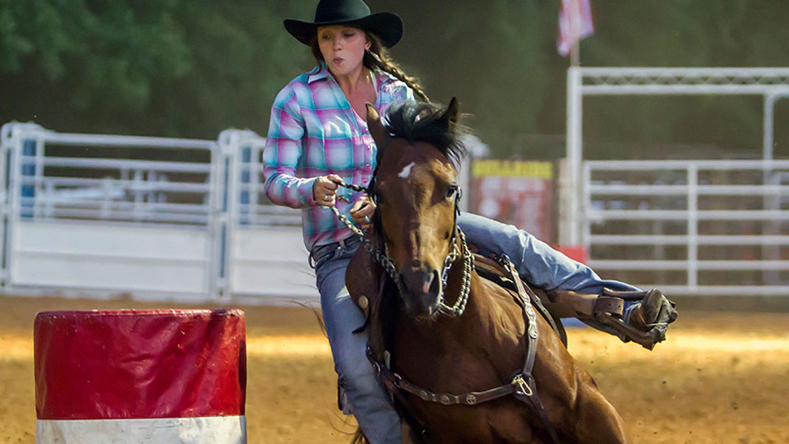 Anne Arundel County Fair A Tradition Passed Down Thru the Generations