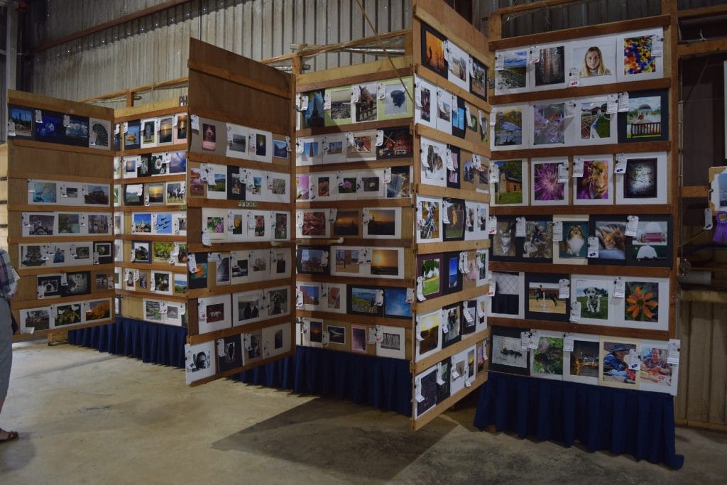 Fair Exhibitors Catalog Anne Arundel County Fair