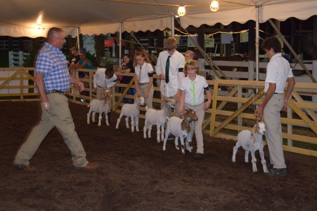 Fair Exhibitors Catalog Anne Arundel County Fair
