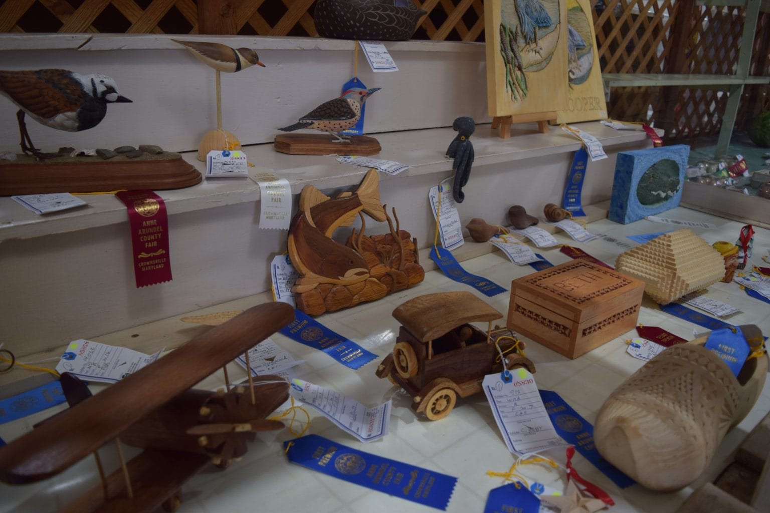 Fair Exhibitors Catalog Anne Arundel County Fair